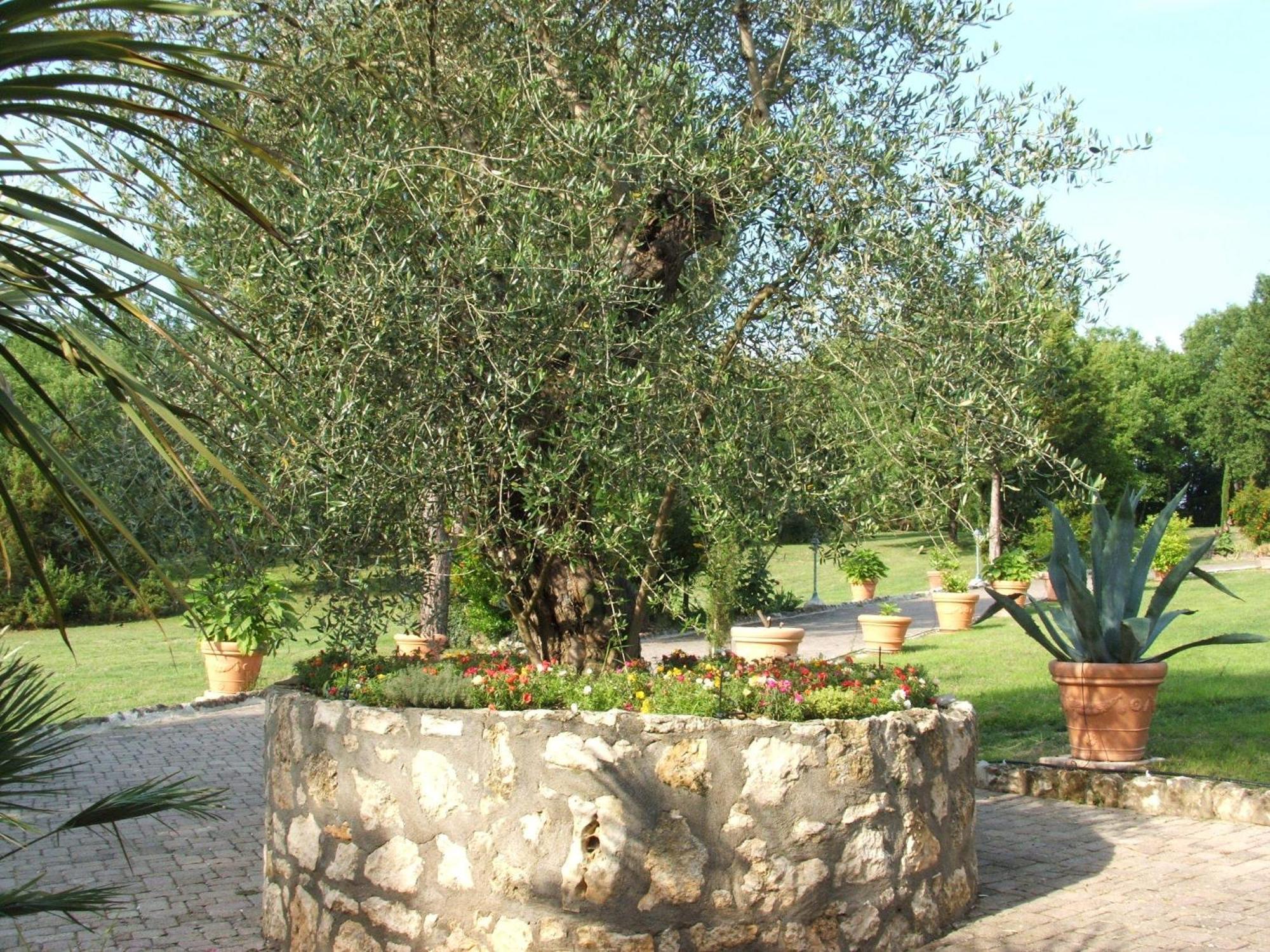 Hotel Il Pietreto Colle Val D'Elsa Exteriör bild